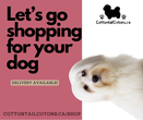 Let’s go shopping for your dog you’ll find everything if you are looking for it chances it’s here. 