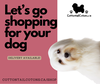 Let’s go shopping for your dog you’ll find everything if you are looking for it chances it’s here. 